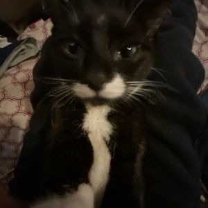 Meet your Posher, Maddie